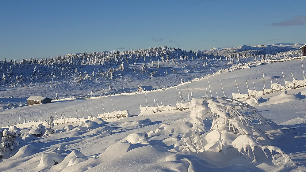 På Nysetra
