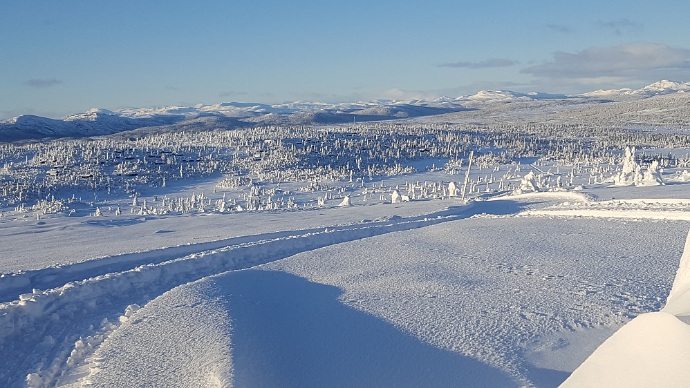 På Hærfjellet
