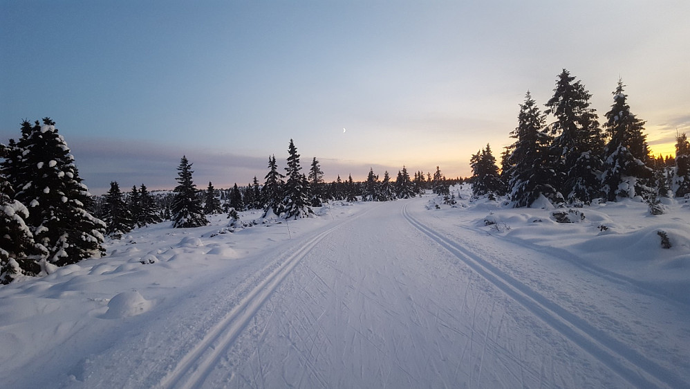 Tilbake mot Nordseter