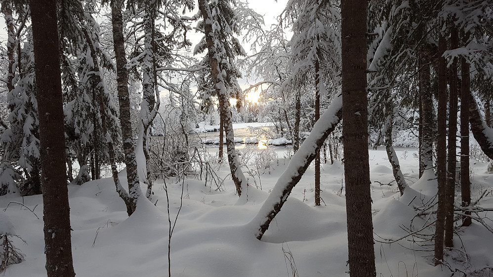 Mesnaelva ved Birkebeinerløypa