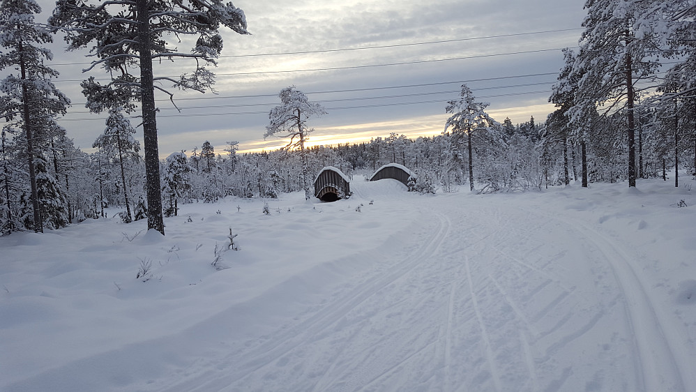 Ved Kubrua