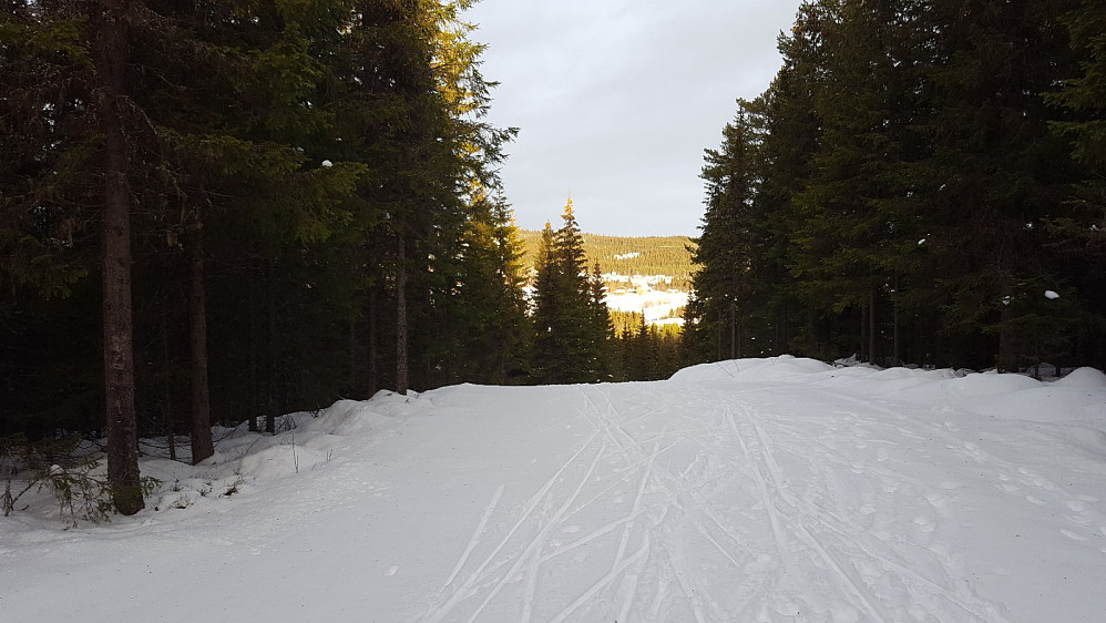 På Kanthaugen
