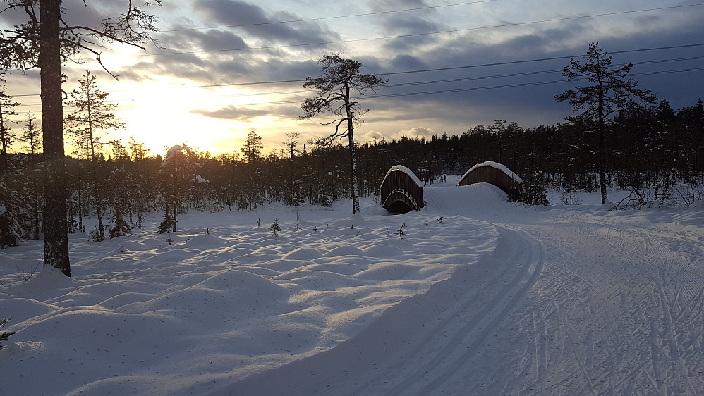 Ved Kubrua