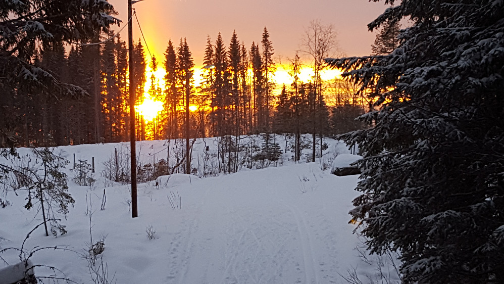 I  lysløypa, solnedgang