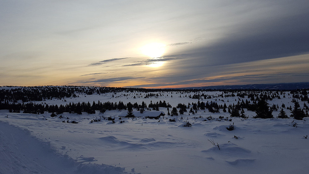 På Løvisåsen