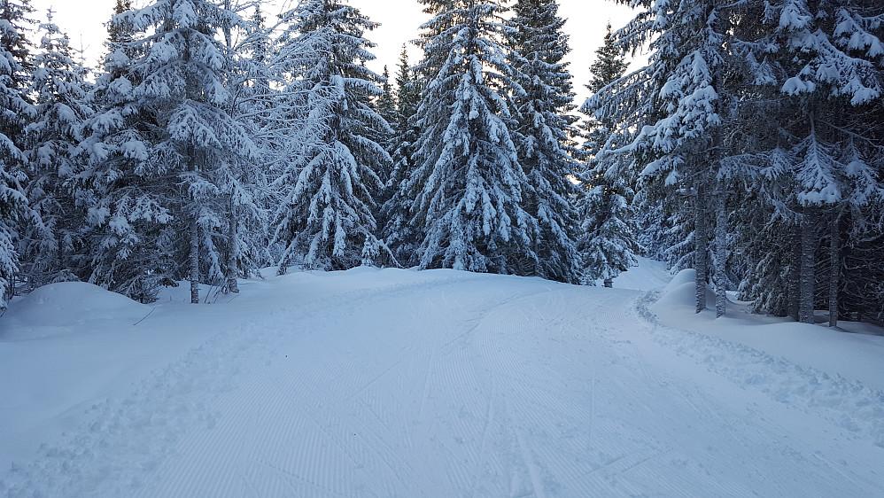 På Kanthaugen