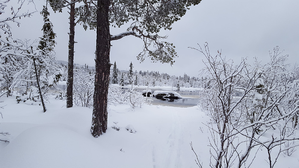 Mesnaelva ved Bottilflø