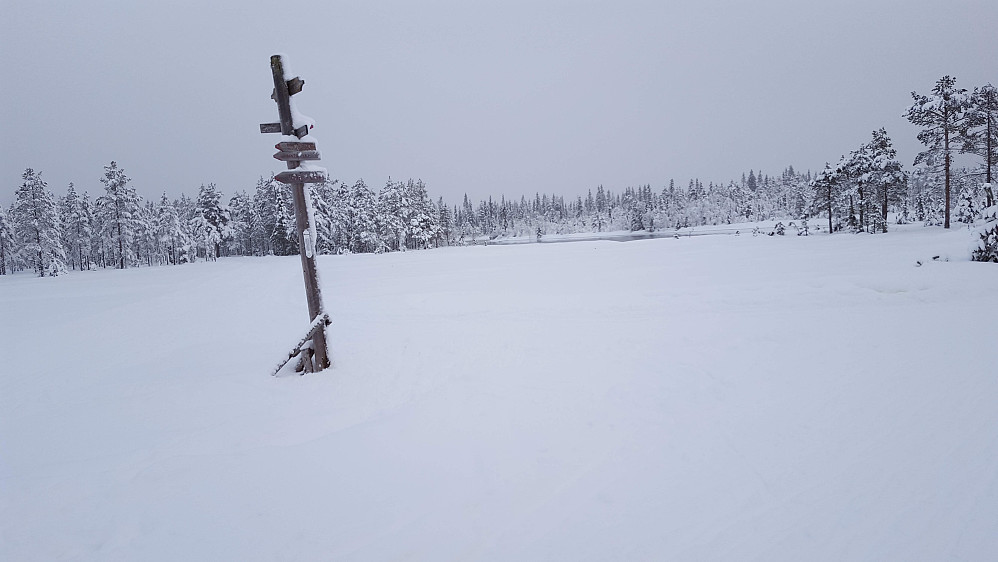 Krysset på Bottilmyra. 