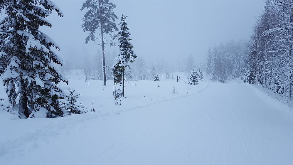 Grått ned fra Kanthaugen
