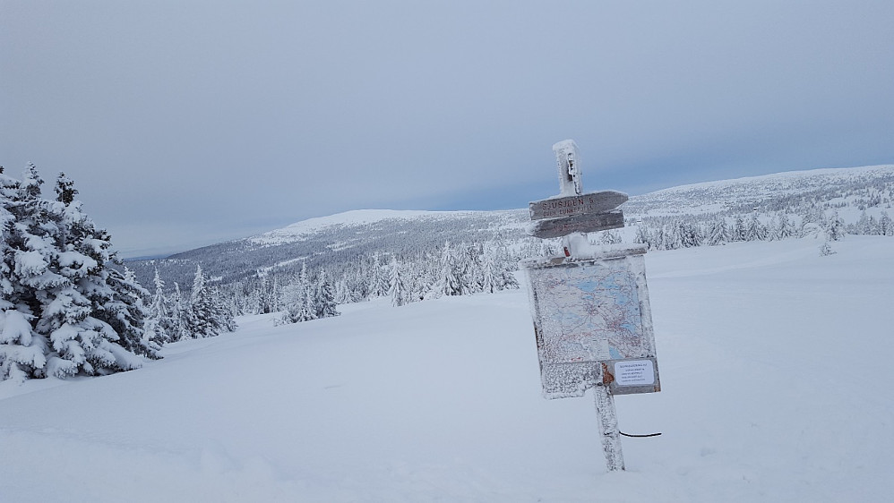På krysset Nordseterfjellet