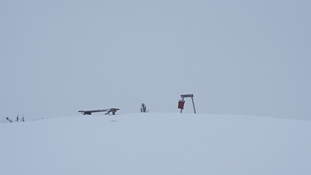 På Sjusjøfjellet