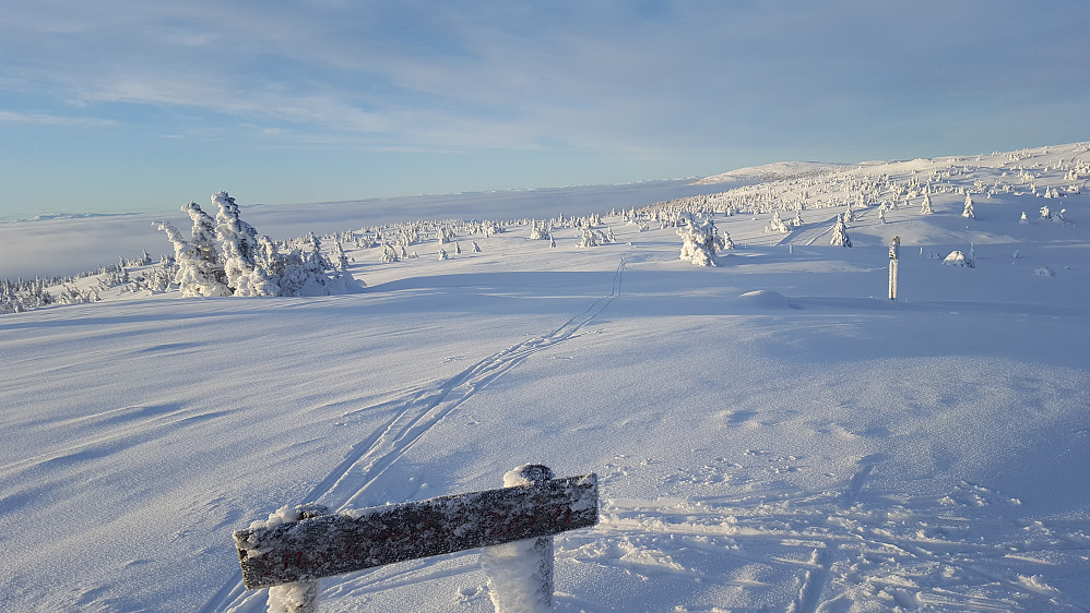 På Sjusjøfjellet