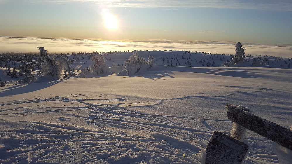 På Sjusjøfjellet