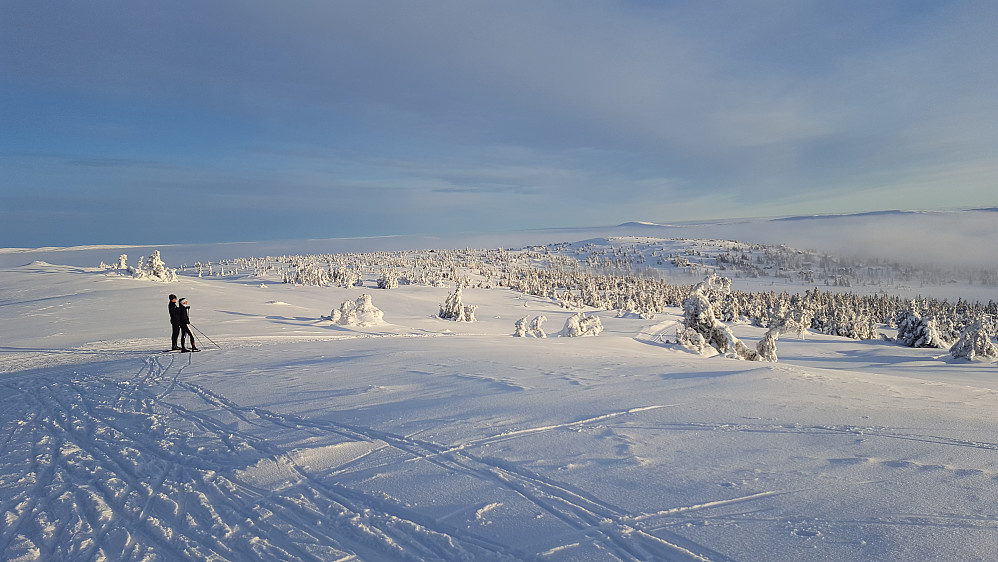 På Sjusjøfjellet