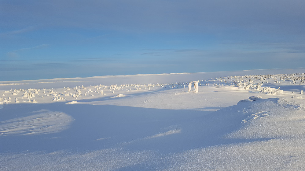 På Sjusjøfjellet øst