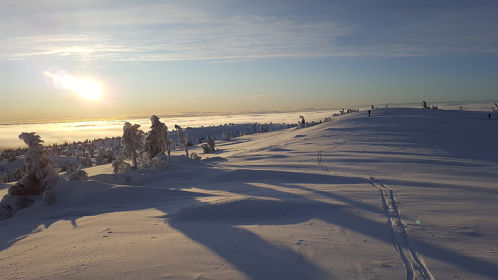 På Sjusjøfjellet øst
