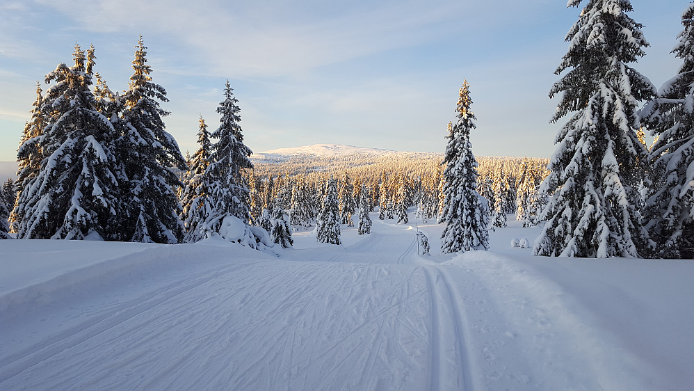 På vei ned, ser mot Nevelfjell
