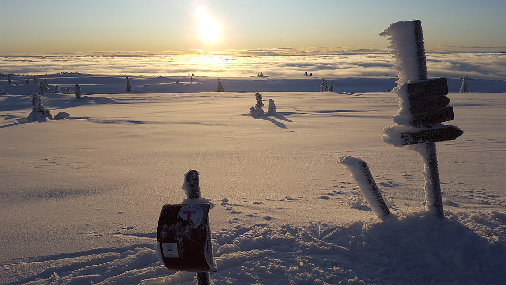 På Lunkefjell