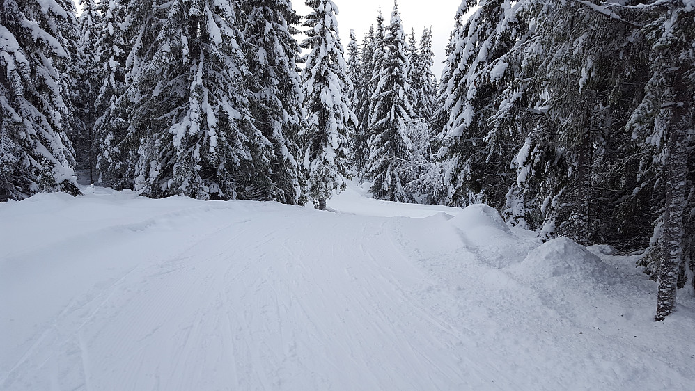 På Kanthaugen