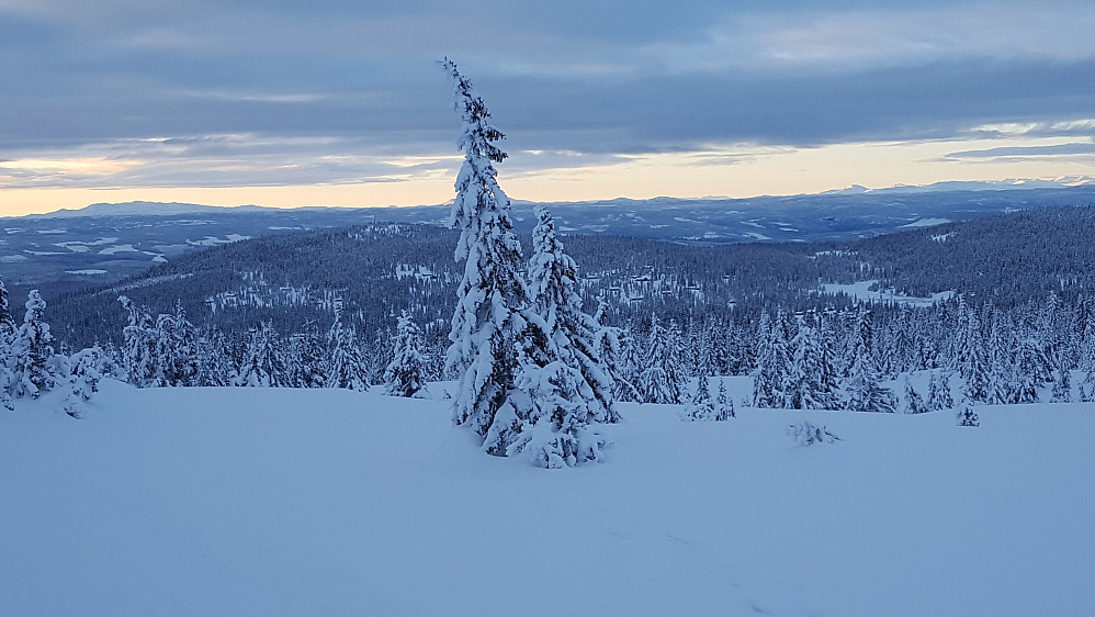 På krysset Nordseterfjellet på veg opp