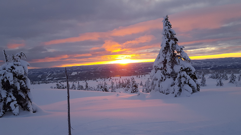 På vei ned fra Lunkefjell