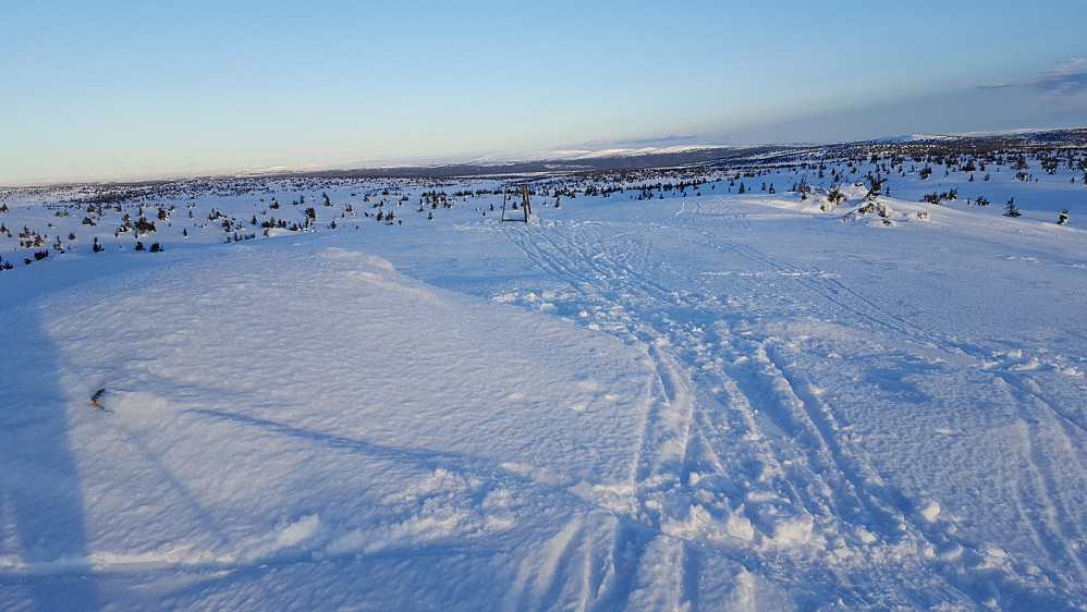På Sjusjøfjellet øst