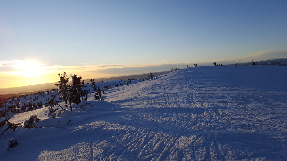 På Sjusjøfjellet øst