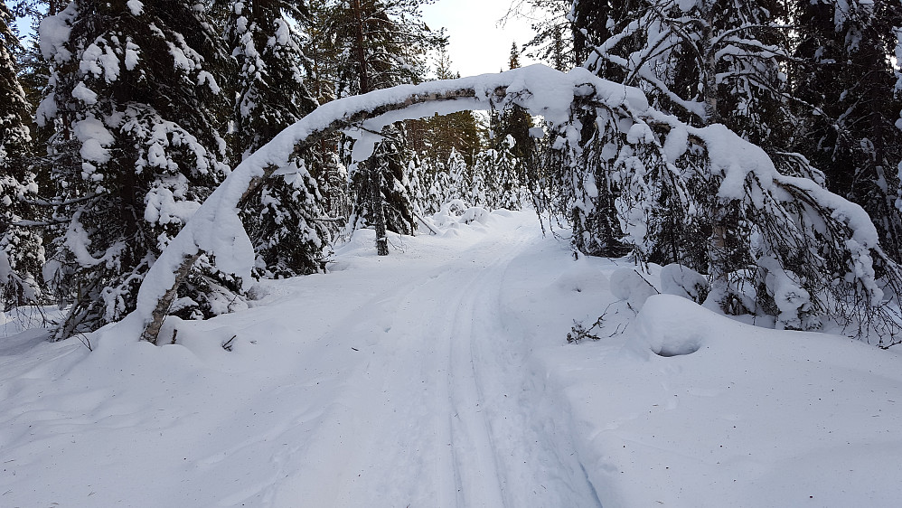 Langs scooterløypa