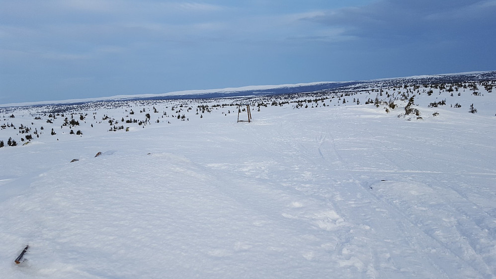 På Sjusjøfjellet øst