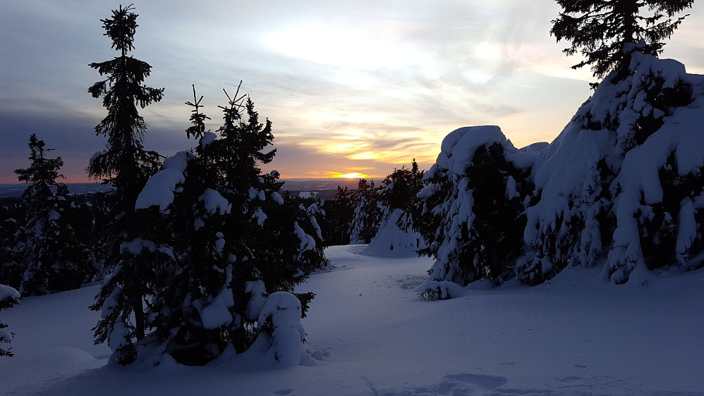 Like ved Appelsinhaugen