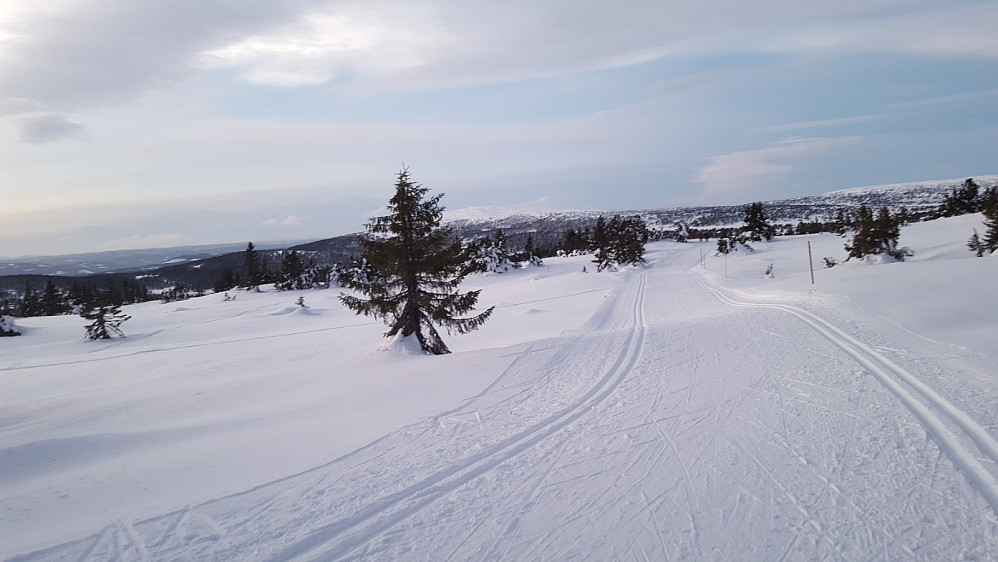 Nærmer meg løypekrysset Nordseterfjellet