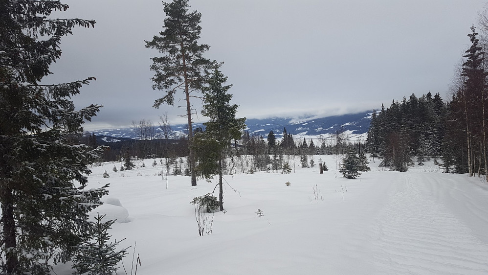 Oppover mot Kanthaugen