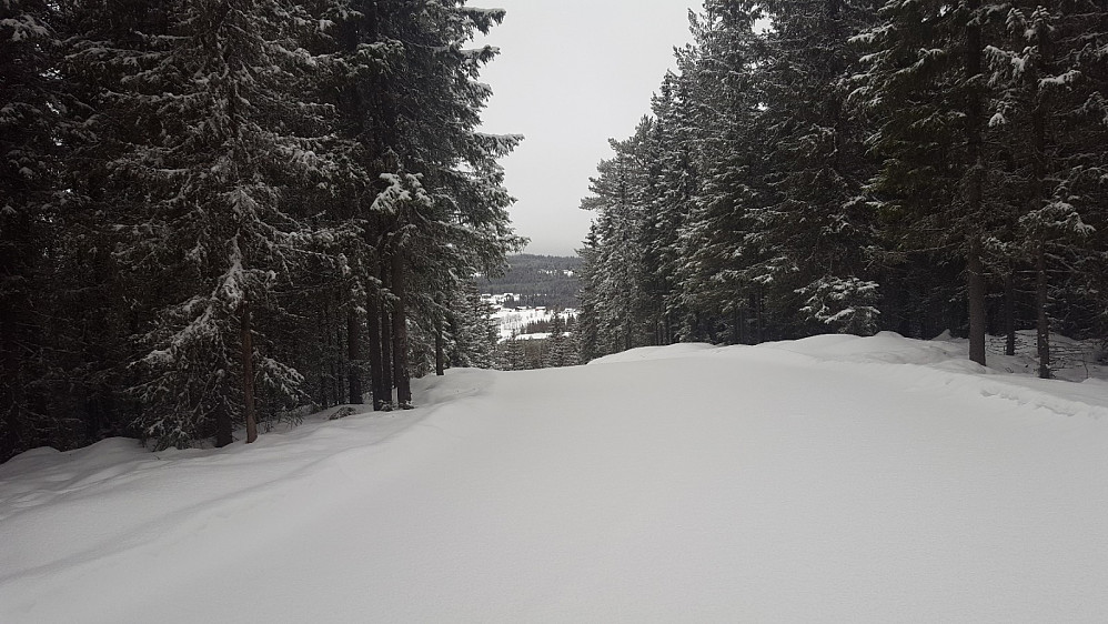 På Kanthaugen