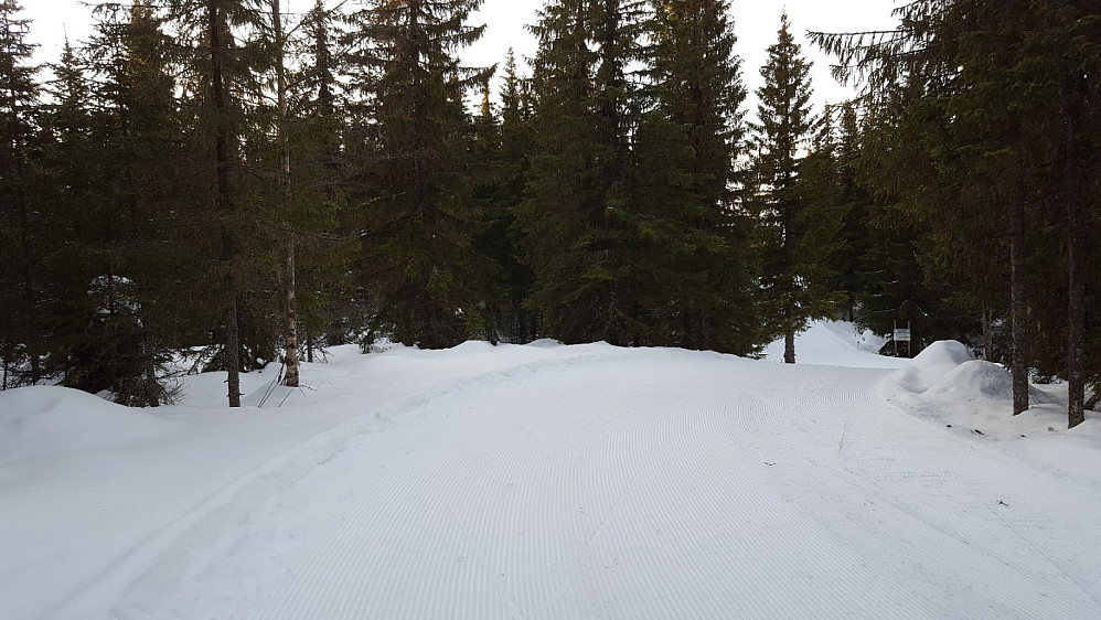 På Kanthaugen
