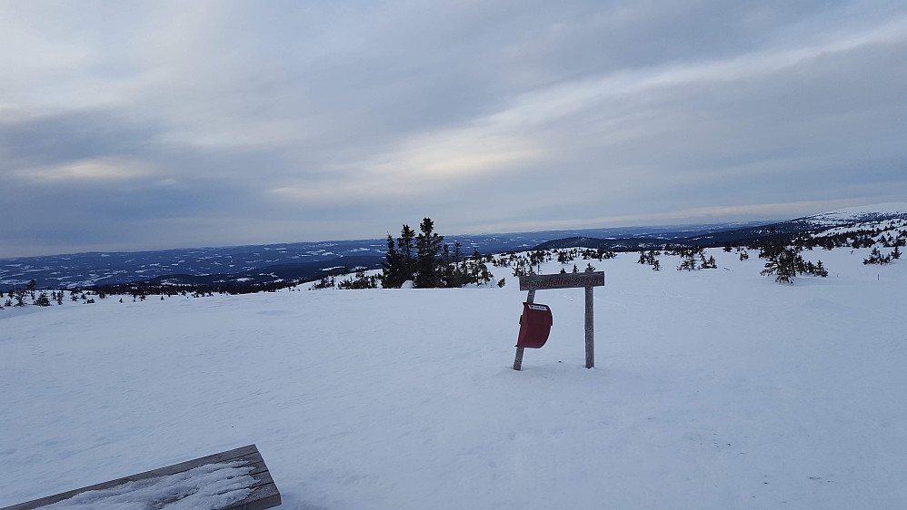 På Sjusjøfjellet