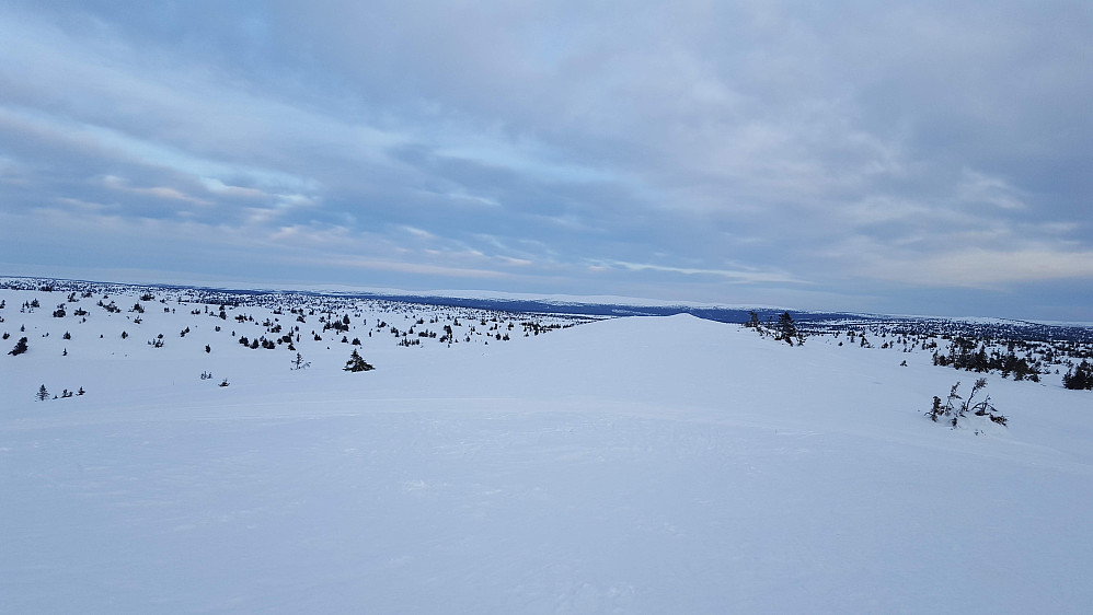 På Sjusjøfjellet