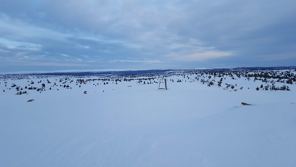 På Sjusjøfjellet øst