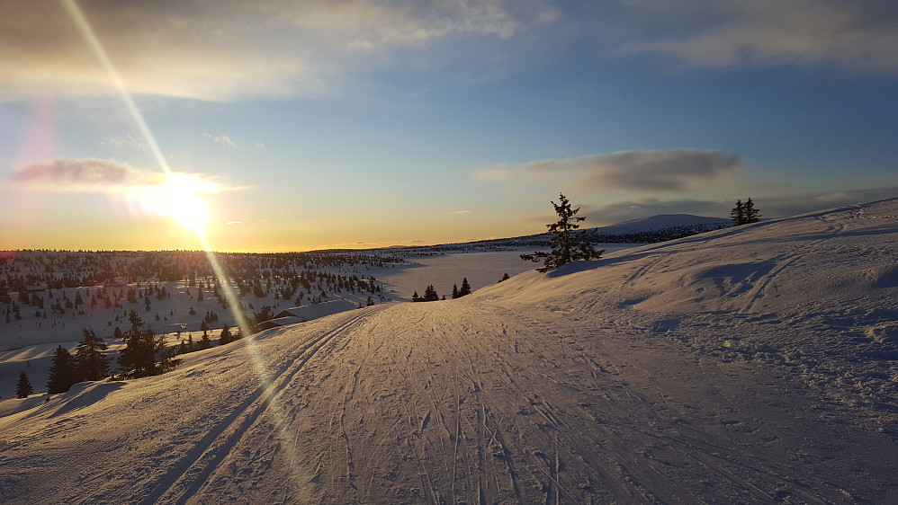 På Reinakrysset