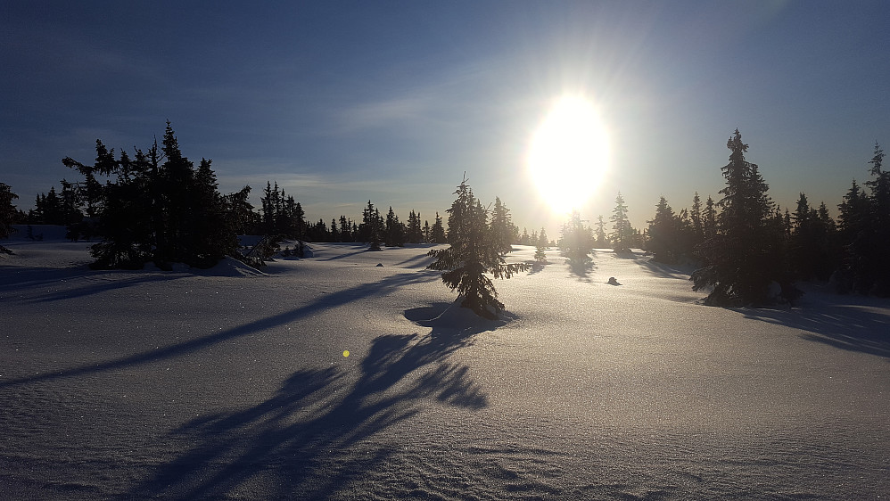 Gnistrende oppover mot krysset Nordseterfjellet