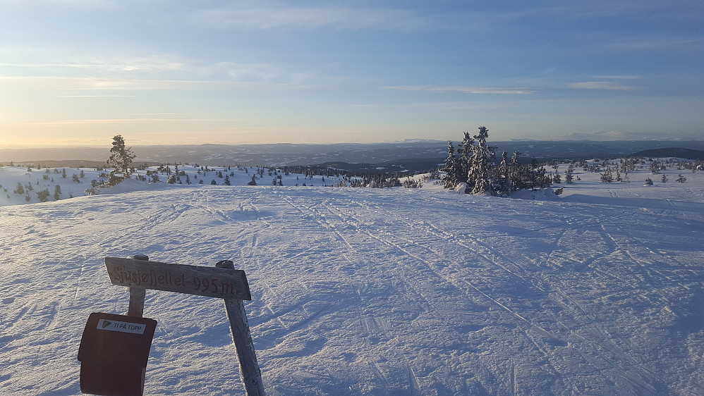 På Sjusjøfjellet