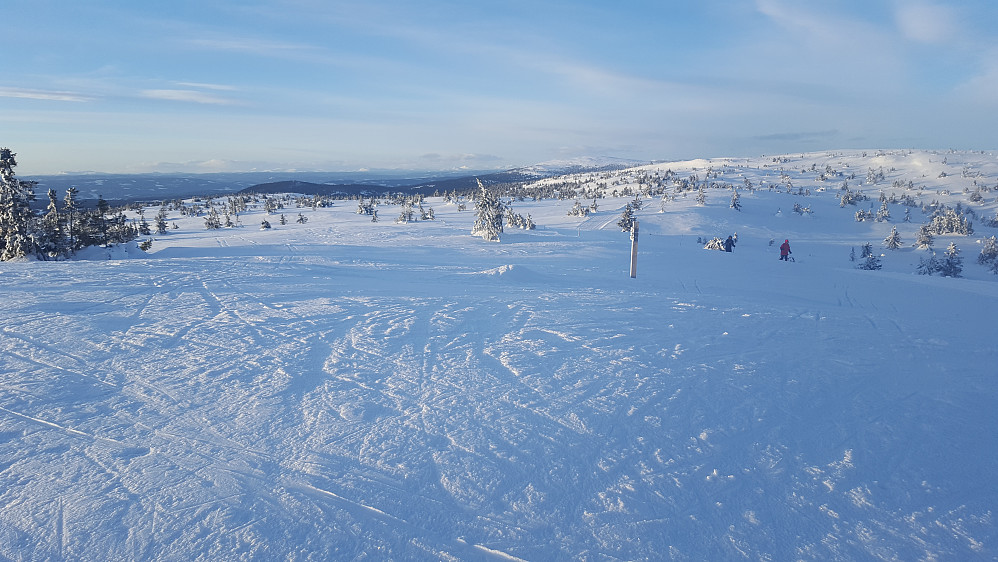 På Sjusjøfjellet