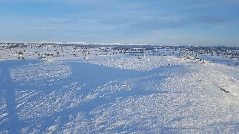 På Sjusjøfjellet øst