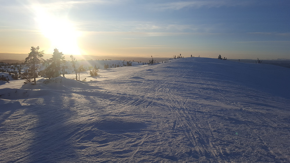 På Sjusjøfjellet øst