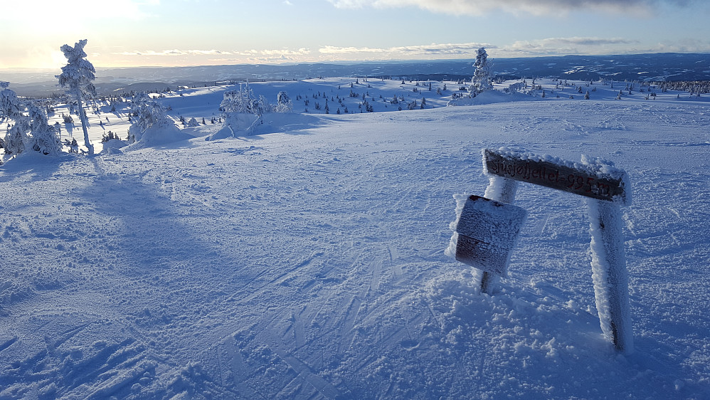 På Sjusjøfjellet