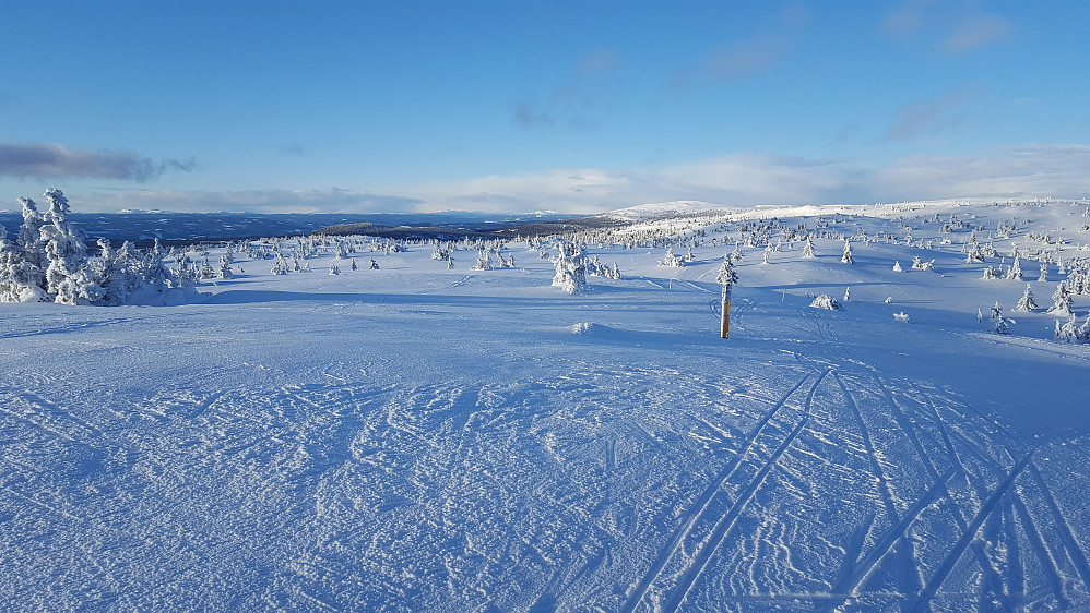 På Sjusjøfjellet