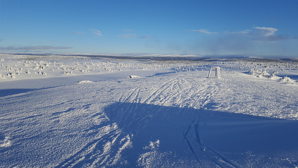 På Sjusjøfjellet øst