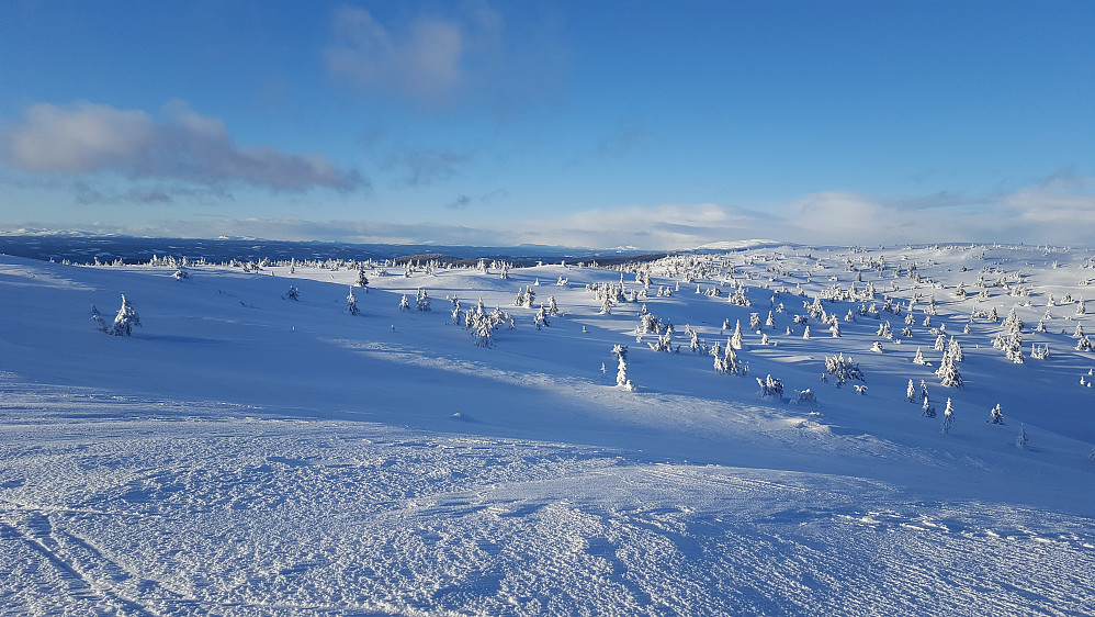På Sjusjøfjellet øst