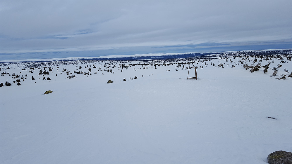 På Sjusjøfjellet øst
