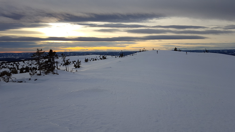 På Sjusjøfjellet øst

