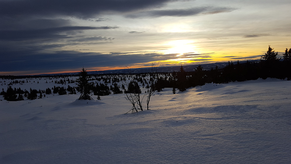 I løypa ved Løvisåsen
